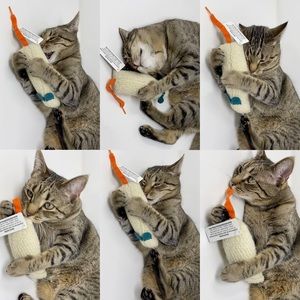 Meet your Posher, Posh